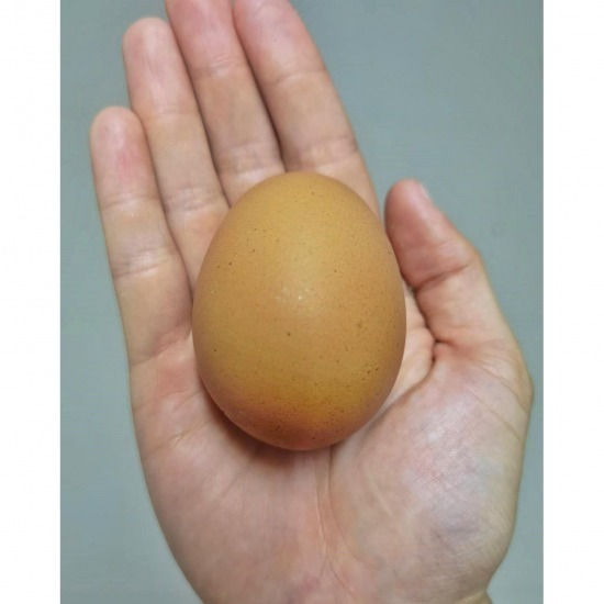 ฟาร์มไข่ไก่ ชลบุรี - ฟาร์มไข่ไก่ชลบุรี ขายส่งไข่ไก่ราคาถูก - ฟาร์มยู่สูงไข่สด 